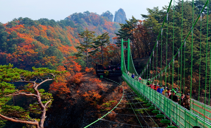 청량산 하늘다리